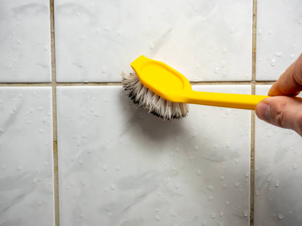 Best Emergency Mold Removal  in National Harbor, MD